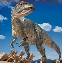 An Allosaurus reconstruction