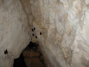 Bats in a cave at the Yaxchilan ruins in Chiapas, Mexico.