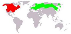 Muskrat range (native range in red, introduced range in green)