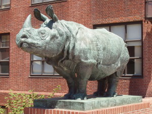 Rhinoceros sculpture, Biological Sciences Building, Harvard University, Cambridge, Massachusetts.