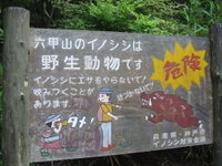 Wild Boar warning sign in Japan